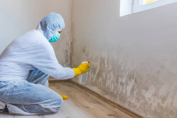 Licensed Commercial Mold Remediation service in Oregon City, OR - WQB Mold Removal