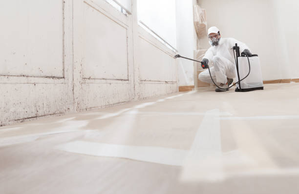24/7 Emergency Commercial Mold Remediation experts in Oregon City, OR