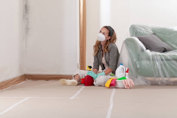 Reliable Commercial Mold Remediation contractor in Oregon City, OR by WQB Mold Removal