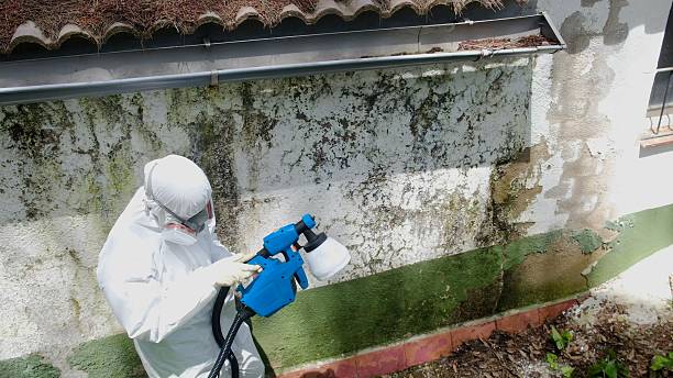 Top rated local Commercial Mold Remediation specialists in Oregon City, OR